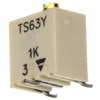 TS63Y102KR10 Image - 1