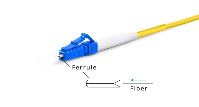  Ferrule